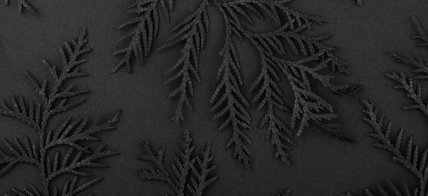 Background Texture